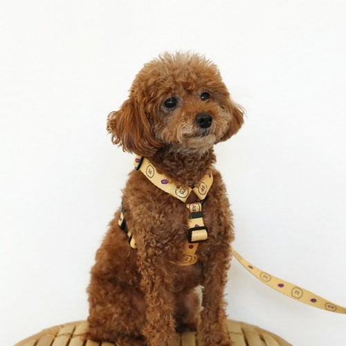 Kakao Friends: Choonsik Dog Harness 춘식이 H형 하네스