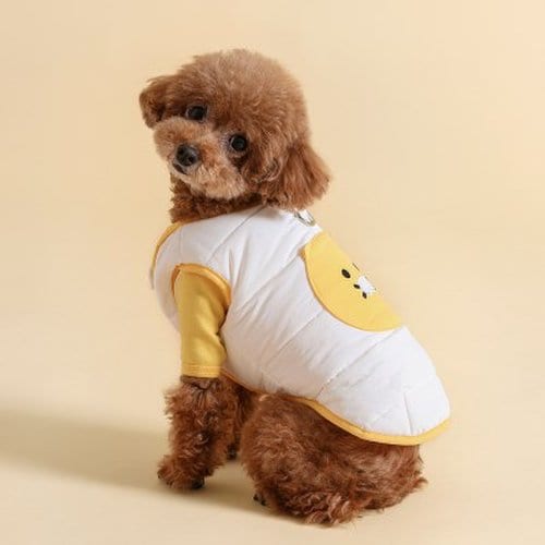 Kakao Friends: Choonsik Dog T-Shirt 춘식이 배색 티셔츠