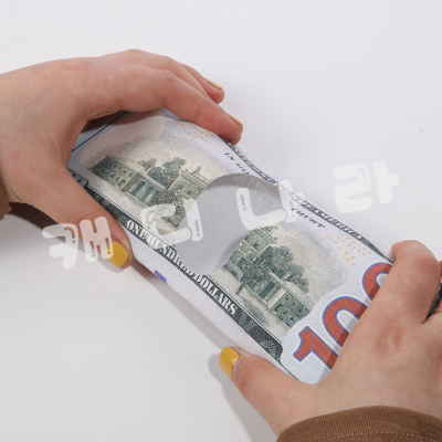 Money Clip $100 - 100달라 지폐 지갑