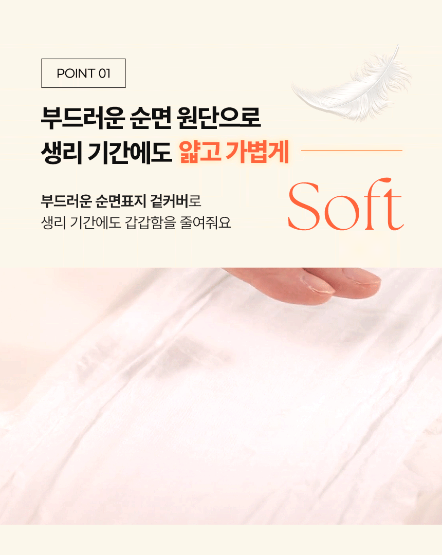 Heyz Daytime Pull Up Sanitary Pad 8pcs - 헤이즈 입는 생리대 데이용 8개입