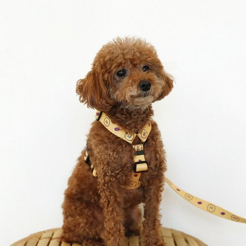 Kakao Friends: Choonsik Dog Harness  춘식이 H형 하네스