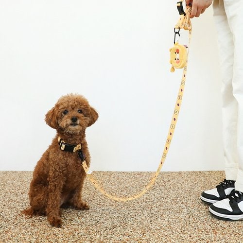 Kakao Friends: Choonsik Dog Collar 춘식이 목줄