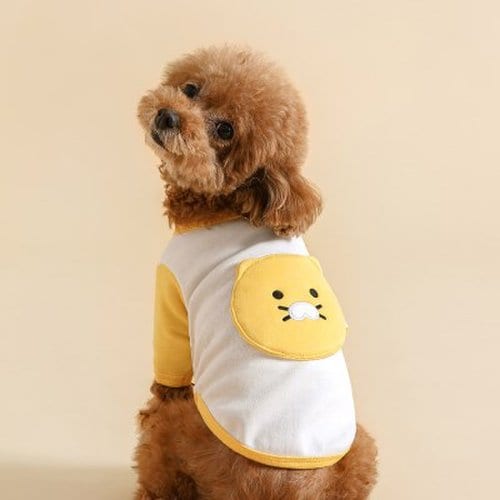 Kakao Friends: Choonsik Dog T-Shirt  춘식이 배색 티셔츠