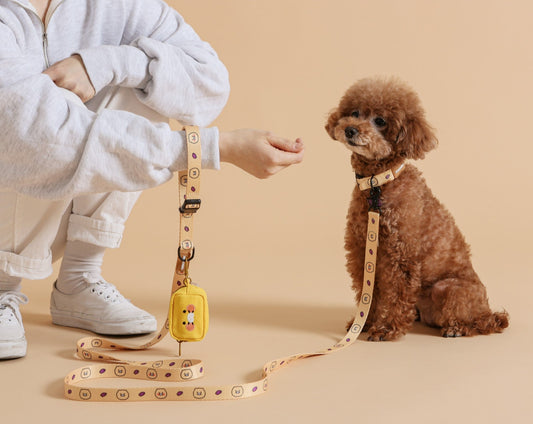 Kakao Friends: Choonsik Dog Pouch 춘식이 사각 풉백 파우치